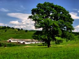 FieldofDreams